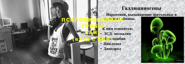 прущие грибы Бугульма