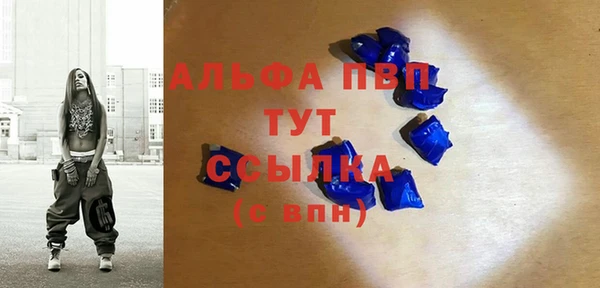 твердый Бородино