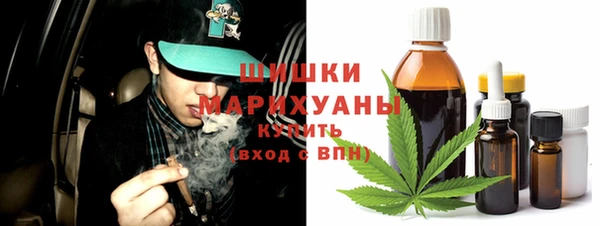 гидропоника Инта