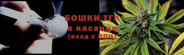 прущие грибы Бугульма