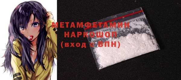 шишки Инсар
