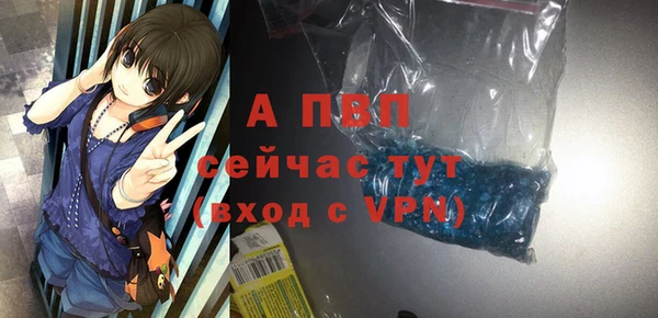 твердый Бородино