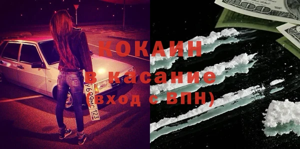 твердый Бородино
