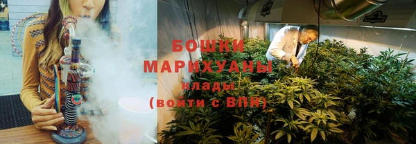прущие грибы Бугульма