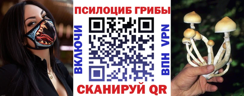 Псилоцибиновые грибы GOLDEN TEACHER  где можно купить   сайты даркнета какой сайт  Торопец 